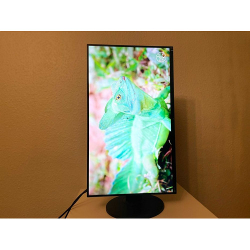 Монітор Eizo FlexScan EV2750 27" виробництво Японія, б/у. –  (вид 4)