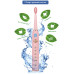 Электрическая зубная щетка AHealth SMART SONIC SMILE 1 pink (AHsss1p) – AHealth (вид 1)