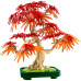 Конструктор LEGO Botanicals Бонсай из японского красного клена (10348) – LEGO (вид 1)