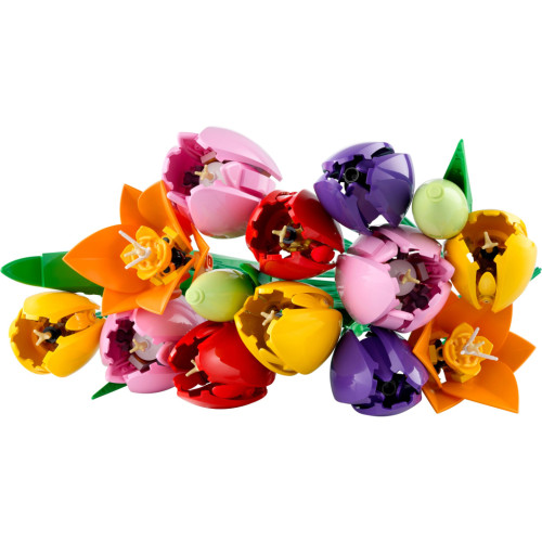Конструктор LEGO Botanicals Букет тюльпанов (11501) – LEGO (вид 1)