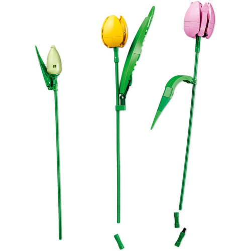 Конструктор LEGO Botanicals Букет тюльпанов (11501) – LEGO (вид 3)