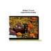Ноутбук Apple MacBook Neo A3404 (MHFH4UA/A) – Apple (вид 4)
