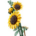 Конструктор LEGO Botanicals Букет подсолнечников (11502) – LEGO (вид 3)