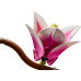 Конструктор LEGO Botanicals Magnolia Branches (11510) – LEGO (вид 3)