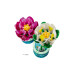Конструктор LEGO Botanicals Кувшинка (11511) – LEGO (вид 2)