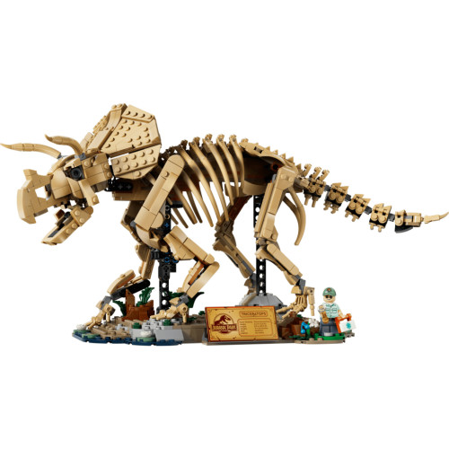 Конструктор LEGO Jurassic Park Окаменелости динозавров: Трицератопс (77985) – LEGO (вид 1)