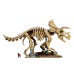 Конструктор LEGO Jurassic Park Окаменелости динозавров: Трицератопс (77985) – LEGO (вид 2)
