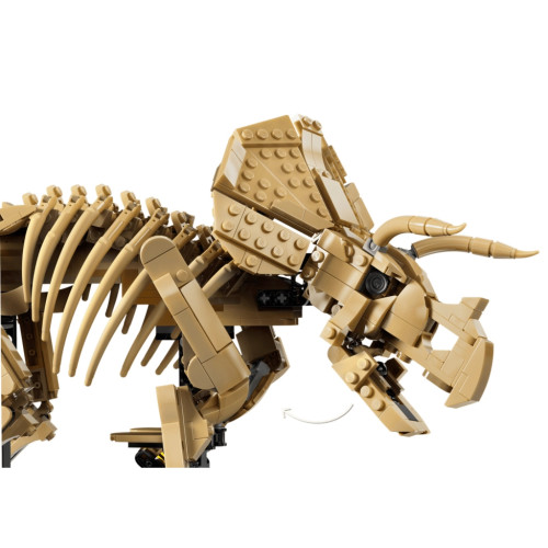 Конструктор LEGO Jurassic Park Окаменелости динозавров: Трицератопс (77985) – LEGO (вид 4)