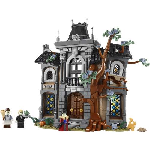 Конструктор LEGO Icons Mayetok pani mera (11383) – LEGO (вид 1)