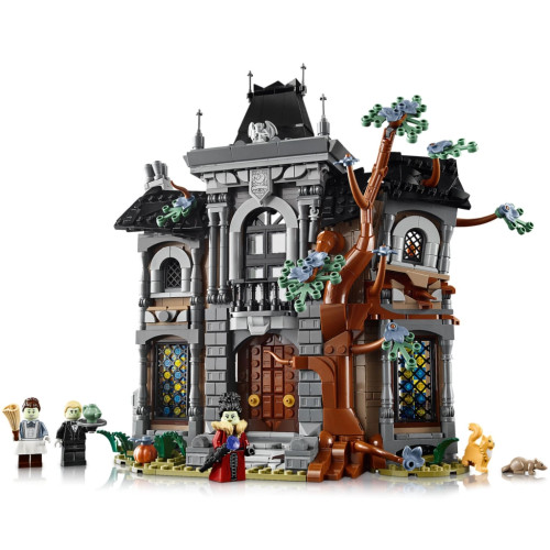 Конструктор LEGO Icons Mayetok pani mera (11383) – LEGO (вид 2)