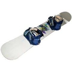 Зимові види спорту