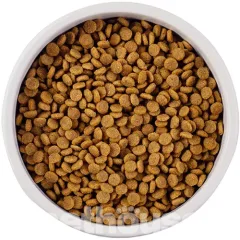 Корм для собак