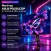 Монітор ASUS PG32UCDP – ASUS
