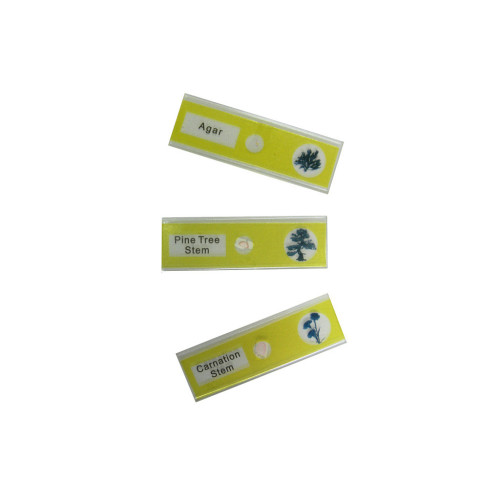 Набор микропрепаратов Sigeta Entrance Життєві цикли рослин 12 шт (65125) – Sigeta (вид 1)