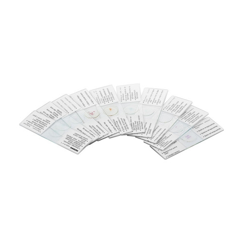 Набір мікропрепаратів Konus Біологія Серія для навчання 10 шт (4960) – Konus (вид 2)