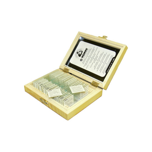 Набор микропрепаратов Konus Ботаніка Покритонасінні, однодольні 25 шт (4984) – Konus