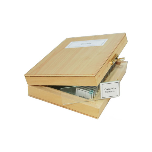 Набор микропрепаратов Sigeta Зоологія 25 шт (65106) – Sigeta