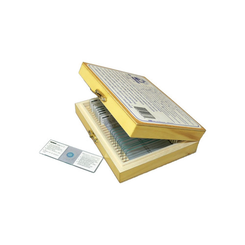 Набор микропрепаратов Konus Ботаніка Гриби, лишайники і мох 15 шт (4982) – Konus