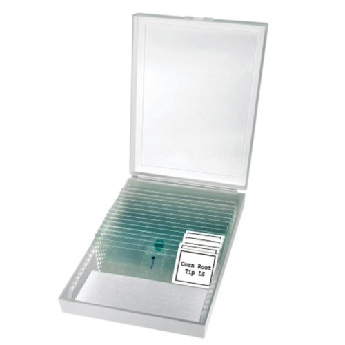 Мікроскоп Bresser Erudit Basic Bino 40x-400x (922746) – Bresser (вид 2)