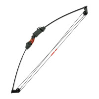 Лук Poe Lang Chameleon Youth Compound 10 LBS Black (CO-017B)
