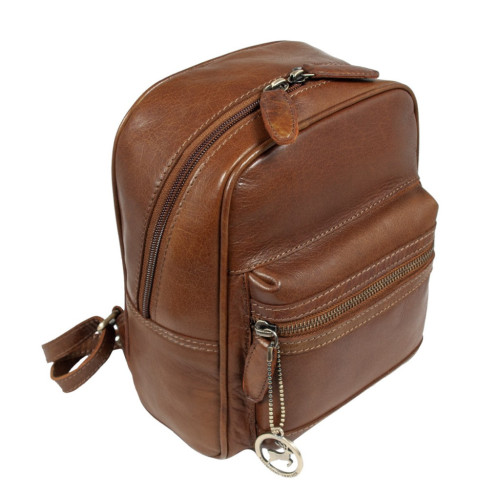Рюкзак туристичний Ashwood T87 Honey – Ashwood (вид 1)