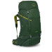 Рюкзак туристичний Osprey Ace 50 green canopy - O/S - зелений (009.3886) – Osprey