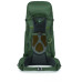 Рюкзак туристический Osprey Kestrel 58 bonsai green S/M (009.3307) – Osprey (вид 2)