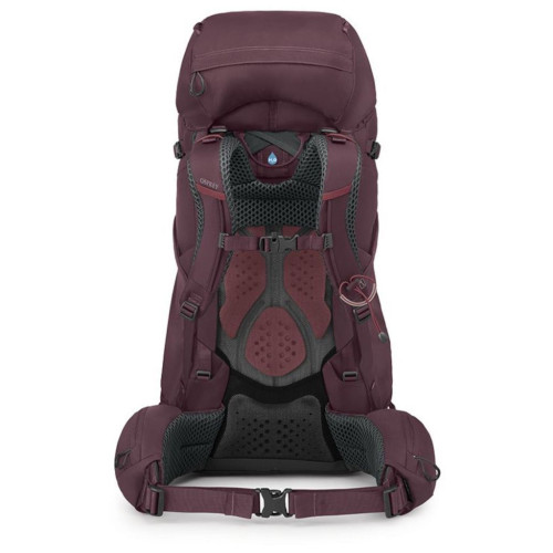 Рюкзак туристический Osprey Kyte 58 elderberry purple WXS/S (009.3323) – Osprey (вид 2)