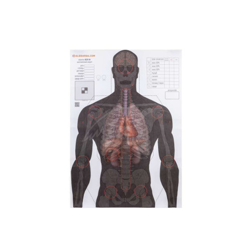 Мишень Алебарда "Анатомический силуэт" ALB-50 (566) – Алебарда