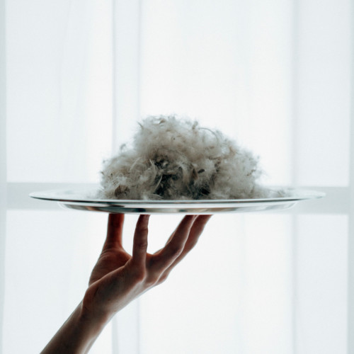 Одеяло MirSon пуховое Raffaello 053 зима+ 220x240 см (2200005895061) – MirSon (вид 1)