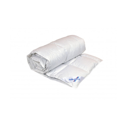 Одеяло Billerbeck пуховое Аделия К0 172х205 (0590-20/02) – Billerbeck (вид 1)
