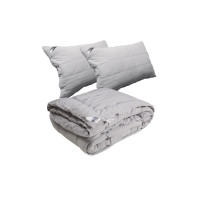 Одеяло Руно Демисезонная силиконовая Grey 200х220 см с двумя подушками 50х70 см (925.52Grey)