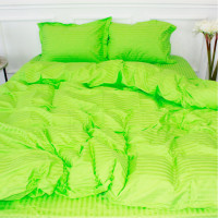 Постільна білизна MirSon SatinStripe 30-0016LightGreen 200х220 Євро (2200005253670)