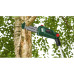 Ланцюгова пила Bosch UniversalChainPole 18V, 210-260см, шина 20см (без АКБ та ЗП) (0.600.8B3.101) – BOSCH (вид 1)
