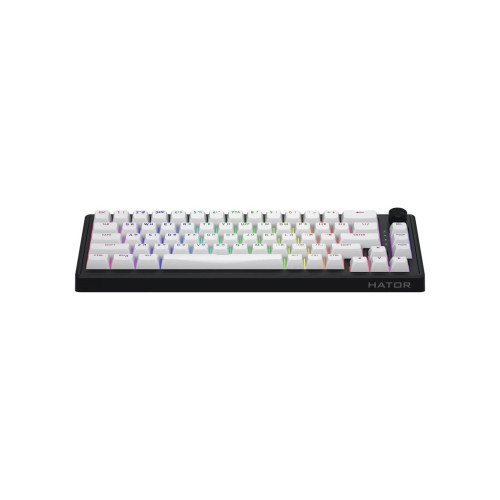 Клавиатура Hator Skyfall 65 Aurum Sterling RGB Wireless/Bluetooth/USB UA Black/White (HTK3160UA) – Hator (вид 1)
