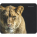 Коврик для мышки Defender Wild Animals (50803) – Defender