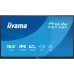 Монитор iiyama P1671HSC-B1 – iiyama