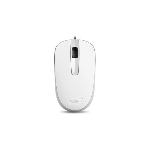 Мишка Genius DX-120 USB White (31010105102) – Genius (вид 1)