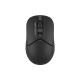 Мышка A4Tech FB12S Wireless/Bluetooth Black (FB12S Black)