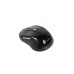 Мышка Gembird MUSW-6B-01-B Black (MUSW-6B-01) – Gembird (вид 2)