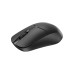 Мышка Rapoo 1510 Wireless Black (1510 Black) – Rapoo (вид 1)