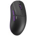 Мишка Dark Project Novus Pro Wireless Black (DPP_Novus_PRO_BB) – Dark Project (вид 1)