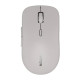 Мишка Canyon MW-12 Wireless/Bluetooth Grey (CNS-CMSW12DG)