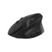 Мишка Canyon MW-25 LED Silent Wireless/Bluetooth Black (CNS-CMSW25) – CANYON (вид 1)