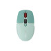 Мышка Canyon MW-26 LCD Silent Wireless/Bluetooth Green (CNS-CMSW26GR) – CANYON