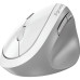 Мишка Genius Ergo 8350S AI Silent Wireless White/Grey (31030041401) – Genius (вид 1)