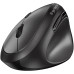 Мышка Genius Ergo 8350S AI Silent Wireless Black (31030041400) – Genius (вид 1)