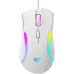 Мишка Havit HV-MS1033 USB White (6939119065607) – Havit