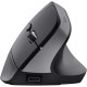 Мишка Trust Bayo+ Ergonomic Wireless/Bluetooth Black (25146)