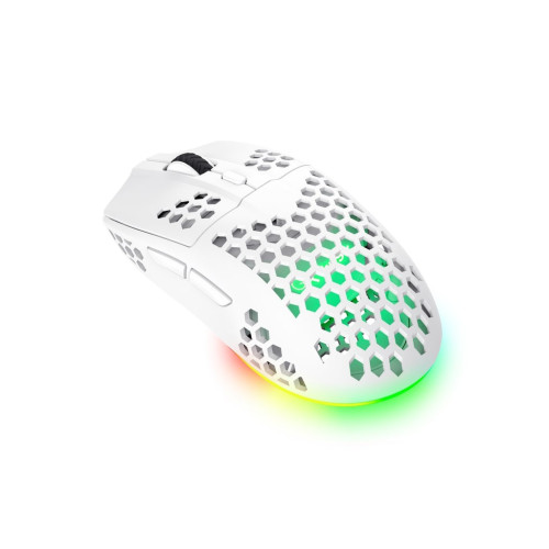 Мишка Trust GXT 929 Helox Wireless/USB-A White (25390) – Trust (вид 1)
